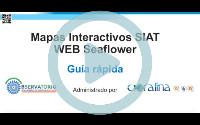 Guia siat webprimera